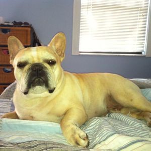 Meet your Posher, Kimberly